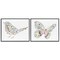 Stupell Industries Bird & Butterfly From Nature 2pc Framed Giclee Wall Art Set Design by Danhui Nai